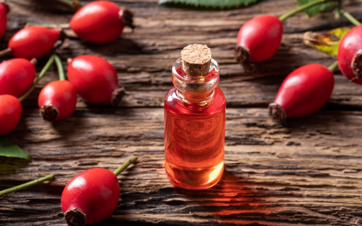 Rosehip seed oil banner